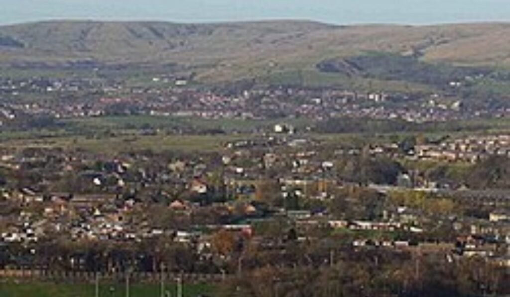 wardle