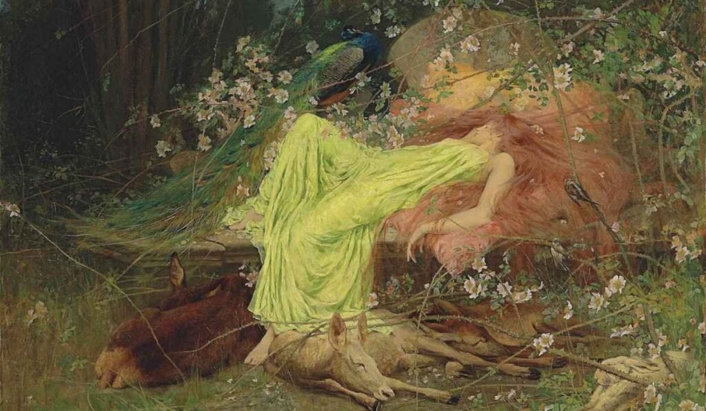 wardle
