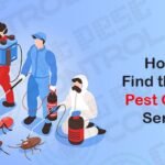 Top Pest Prevention