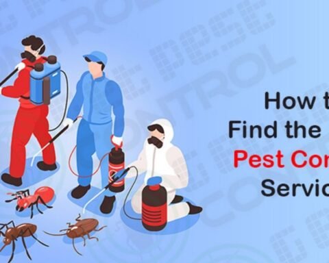 Top Pest Prevention