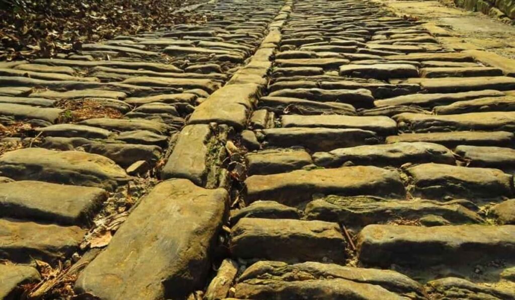 cesta roman